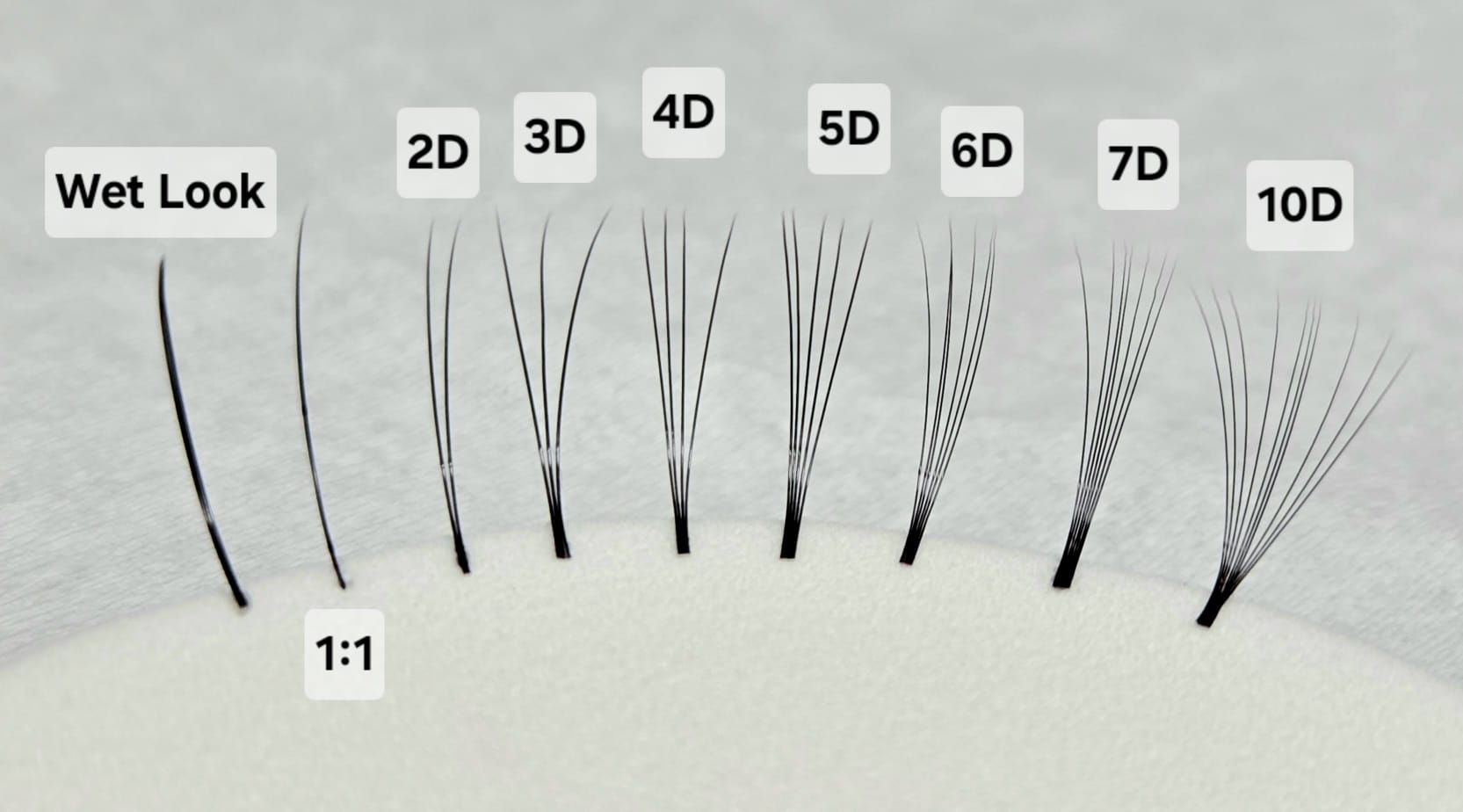 claudia_art_brows_lashes_faecher_wetlook_megavolumen